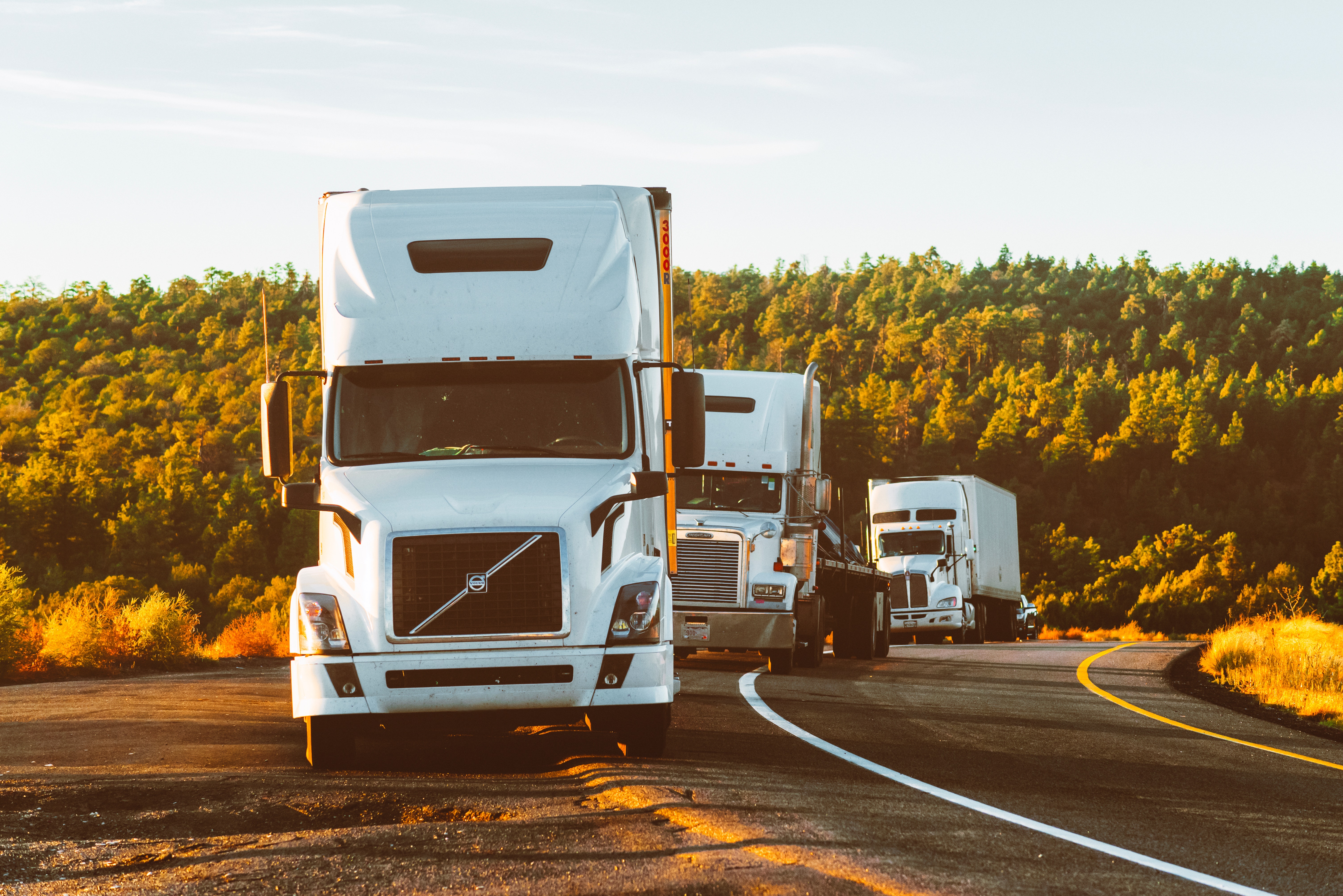 Vitale. Tradex. 10 Ways To SaveonYour Courier Haulage Insurance. 03.12.19 10 Ways to Save on your courier haulage insurance